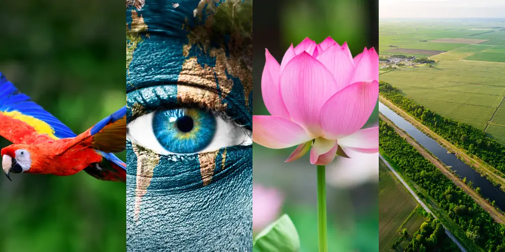 Imagem responsabilidade