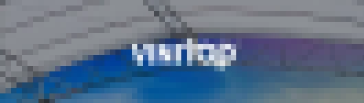 Vinitop®
