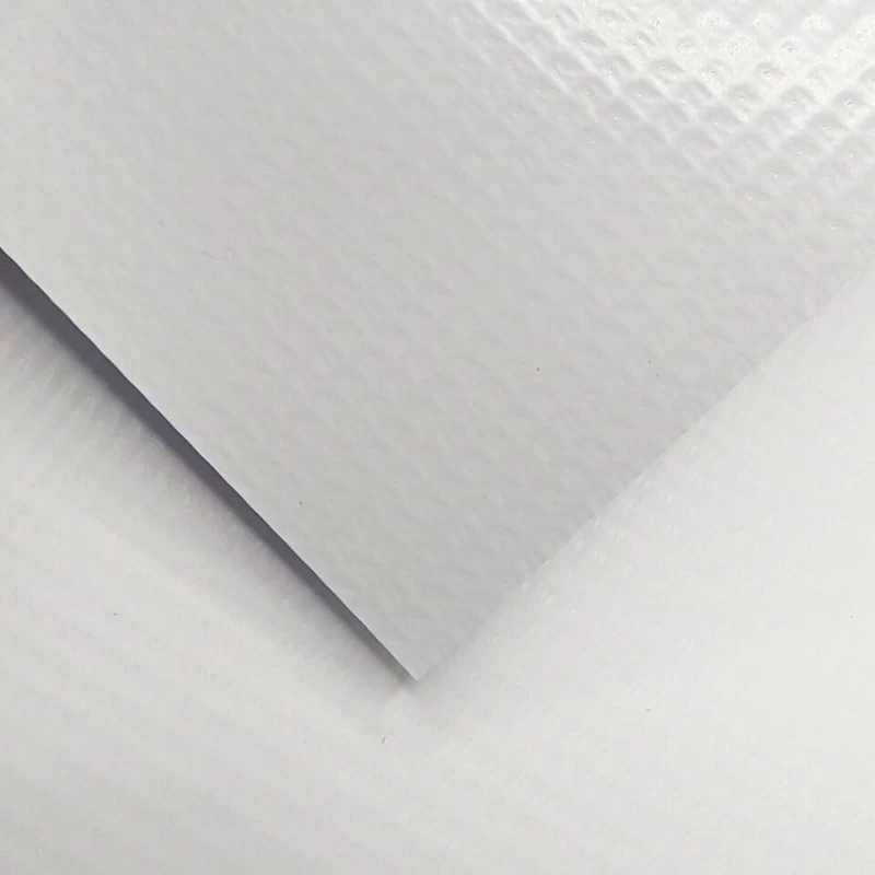 COVER-AVESSO (3).png