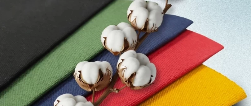 Llegada de lonas 100% algodón